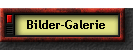 Bilder-Galerie